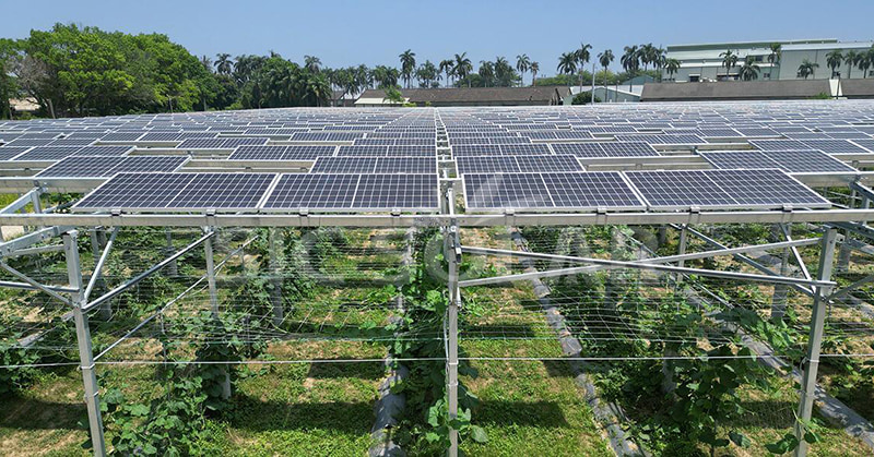 Explorando el tamaño ideal de un parque solar: la última perspectiva en 2024